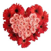 Immediate Flower Delivery of 24 Pink Roses 10 Red Gerbera Heart in Bangalore