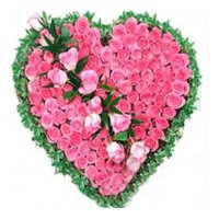 Rakhi Flowers in Bangalore. Send Pink Roses Heart 75 Flowers