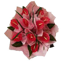Send Online Anthurium Bouquet 12 Flowers to Bangalore