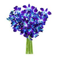 Online Delivery of Blue Orchid Bunch 12 Flower in Bangalore for Friendship Day