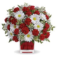 Send Friendship Day Flowers of White Gerbera Red Carnation Vase 24 Flowers to Bengaluru