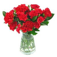 Send Diwali Flowers to Bangalore. Red Carnation Vase 10 Flowers Delivery to Bangalore