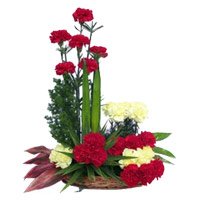 Best Flowers Delivery in Bengaluru