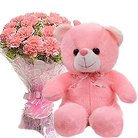 Buy Gifts to Bangalore to send 12 Pink Carnation With Small Teddy Bear Bangalore