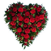 Flower Delivery in Bengaluru. Send 50 Red Roses Carnation Heart Arrangement on Friendship Day