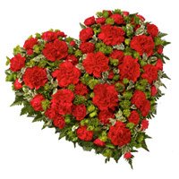 Send Best Rakhi Flowers to Bangalore including 50 Red Carnation Heart Arrangement