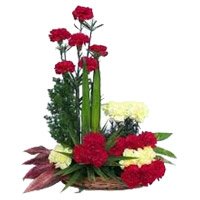 Send 24 Red Yellow Carnation Arrangement. New Year Flowers in Bangalore