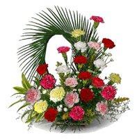 Place Order for Mixed Carnation Arrangement 24 Flowers in Bangalore Online for Diwali