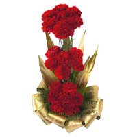 Deliver Red Carnation Basket 30 Flowers to Bengaluru on Friendship Day