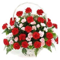 Online Red Pink Carnation Basket 40 Flowers Delivery in Bangalore