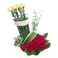 Place Order for Red Yellow Carnation Basket of 20 Flowers in Bangalore on Rakhi