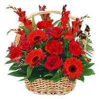 Valentine's Day Flowers Delivery in Bangalore