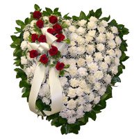 Send Rakhi and 100 White Carnation Flowers Heart with 12 Red Rose Flowers in Bangalore