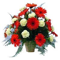 Online Delivery of Rakhi Flowers in Bangalore. Red Gerbera White Carnation Basket 24 Flowers to Bangalore