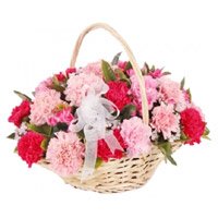 Send Red Pink Carnation Basket 24 Flowers to Bengaluru on Friendship Day