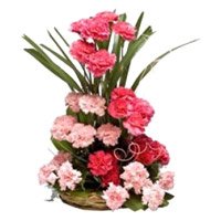 Buy Online Pink Carnation Basket of 24 Rakhi Flowers in Bangalore