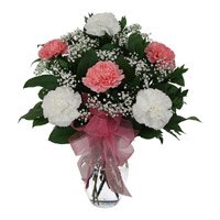 Pink White Carnation in Vase of 12 Flowers Same Day Delivery in Bangalore