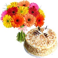 Buy online Diwali Gifts to Bangalore for your relatives consist of 1 Kg Butter Scotch Cake and 12 Mix Gerbera Bouquet to Bangalore
