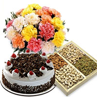 Gift Delivery in Bangalore. Send 12 Mix Carnation, 1/2 Kg Black Forest Cake and 1/2 Kg Dry Fruits on Friendship Day