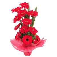 Order Red Gerbera Basket 12 Flowers in Bengaluru with Friendship Day