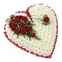 Diwali Flowers Delivery to Bangalore for your loved ones that includes 100 White Gerbera and 10 Red Roses Heart shape