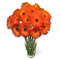Deliver Online of Orange Gerbera in Vase with 24 Rakhi Flowers in Bangalore