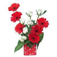 Send Flowers to Bengaluru : Red Gerbera White Roses