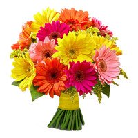 Send New Year Flowers to Bangalore Online including 24 Mixed Gerbera Flowers Bouquet in Bangalore
