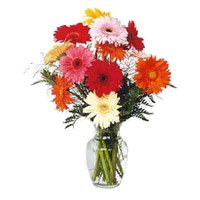 Send Online Diwali Flowers to Bangalore. Mixed Gerbera Vase 12 Flowers in Bangalore