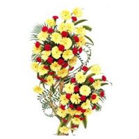 Valentine Flowers to Bengaluru : Flower Delivery in Bengaluru