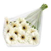Send White Gerbera Bouquet 12 Flowers to Bangalore Online