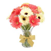 Diwali Flowers Delivery to Bangalore to Send Mix Gerbera in Vase 15 Flowers to Bangalore