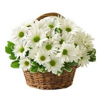 Flower Delivery of White Gerbera Basket 20 Flowers to Bengaluru for Friendship Day