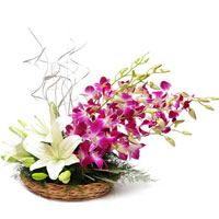 Fresh Flowers Delivery in Bangalore for White Glads Orchids Basket 15 Flowers