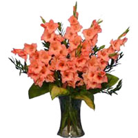 Send Glads in a Vase 50 Flowers to Bangalore