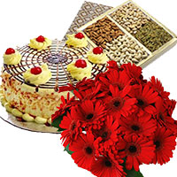 Online Diwali Gifts to Bangalore Delivery at Midnight of 500 gm Butter Scotch Cake 12 Mix Gerbera Bouquet