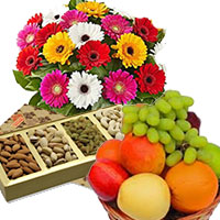 12 Mix Gerbera with 500 gm Mix Dry Fruits and 1 Kg Fresh Fruits Basket to Bangalore Same Day