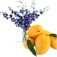 Same Day Gifts Delivery in Bangalore for Blue Orchid Vase 6 Flowers Stem with 12 pcs Fresh Mango fruit to Bangalore