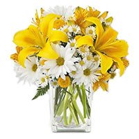 Fresh Diwali Flowers Delivery in Bangalore including 3 Yellow Lily 9 White Gerbera in Vase Bangalore