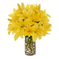 Diwali Flower Delivery in Bangalore with 8 Yellow Lily Flower Stems in Vase Bangalore