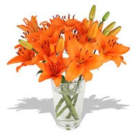 Send Rakhi to Bangalore with Orange Lily in Vase 5 Flower Stems