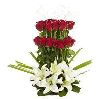 Lily Rose Flowers to Bengaluru
