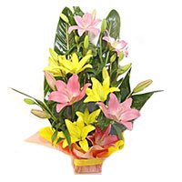 Online Order Flowers to Bangalore