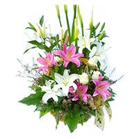 Friendship Day Delivery in Bengaluru. 6 Pink White Lily 6 White Roses Basket