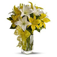 Deliver Flowers in Bengaluru, White Yellow Lily Vase 6 Flower Stems on Friendship Day