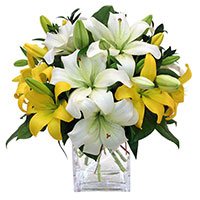 Same day flowers delivery in Bangalore 