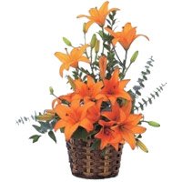 Send Online Orange Lily Arrangement 9 Flower to Bangalore
