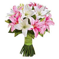 Valentines Day Flower Delivery in Bangalore :  Pink White Lily 