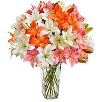 Friendship Day Online Flowers Delivery to Bengaluru. Send Pink White Lily Vase 18 Flower Stems