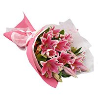 Valentines Day Flower in Bangalore :  Pink Lily to Bangalore